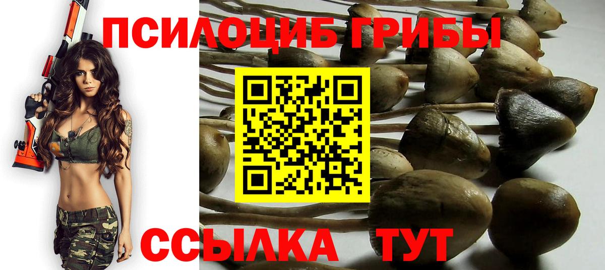 Псилоцибиновые грибы Cubensis  Вход с VPN  Ливны  где купить   Галлюциногенные грибы GOLDEN TEACHER 