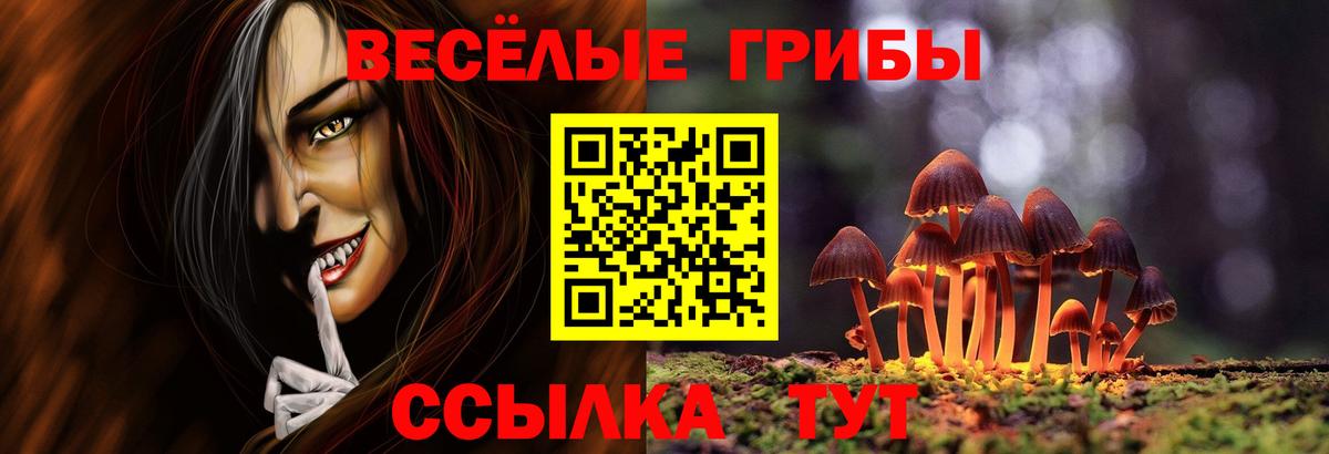 Галлюциногенные грибы прущие грибы Ливны